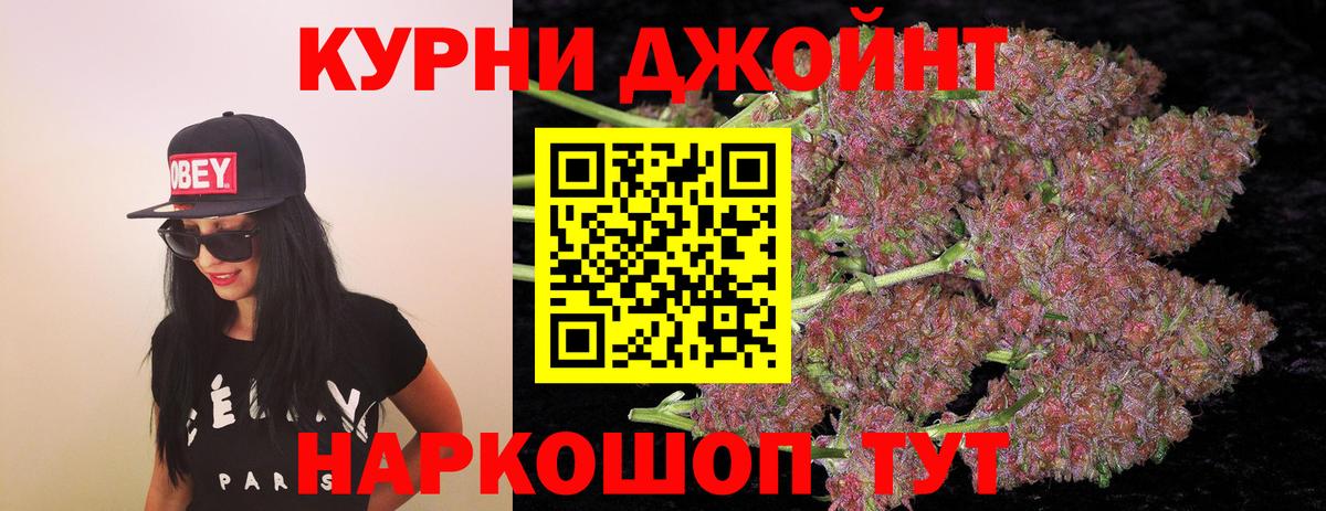 Шишки марихуана марихуана Сунжа